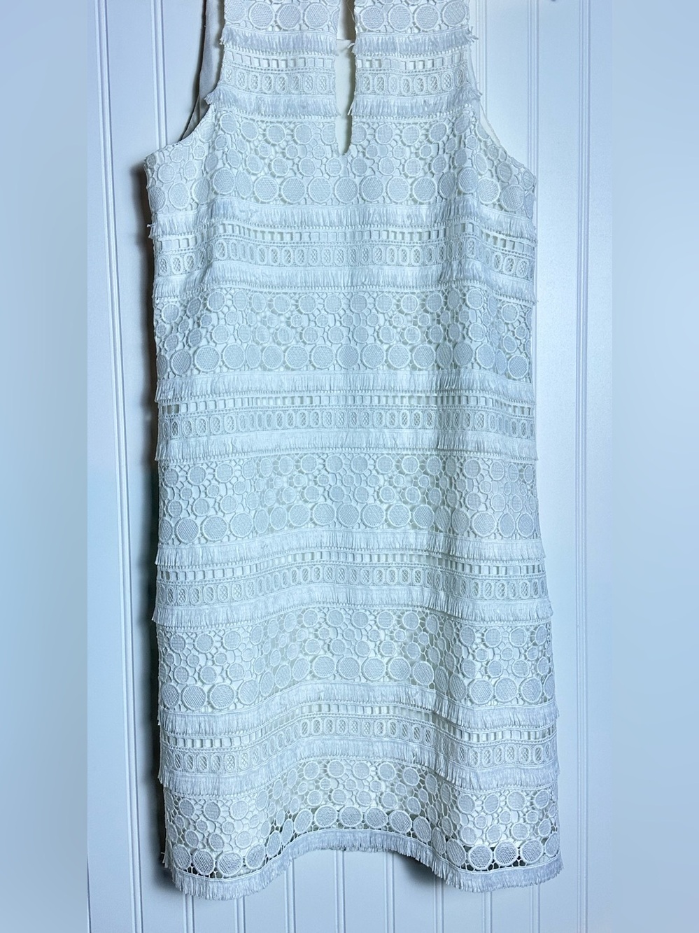 Lilly Pulitzer Annette Shift Lace Dress Resort White Fringe 6 Lined - Picture 12 of 14